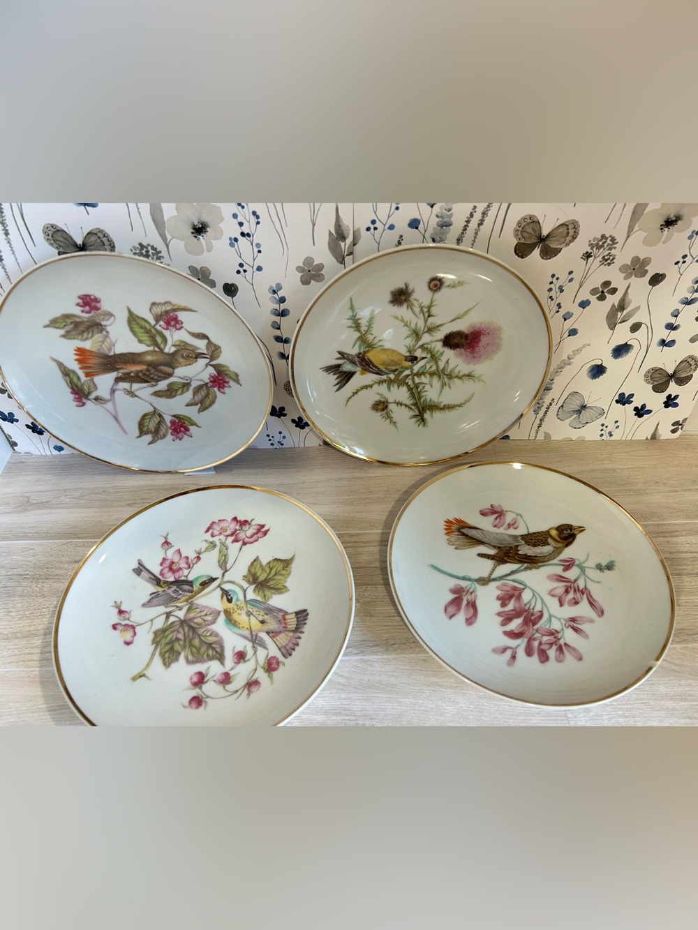 Vintage Debra Bavaria Porcelain Bird Plates - Set of 4